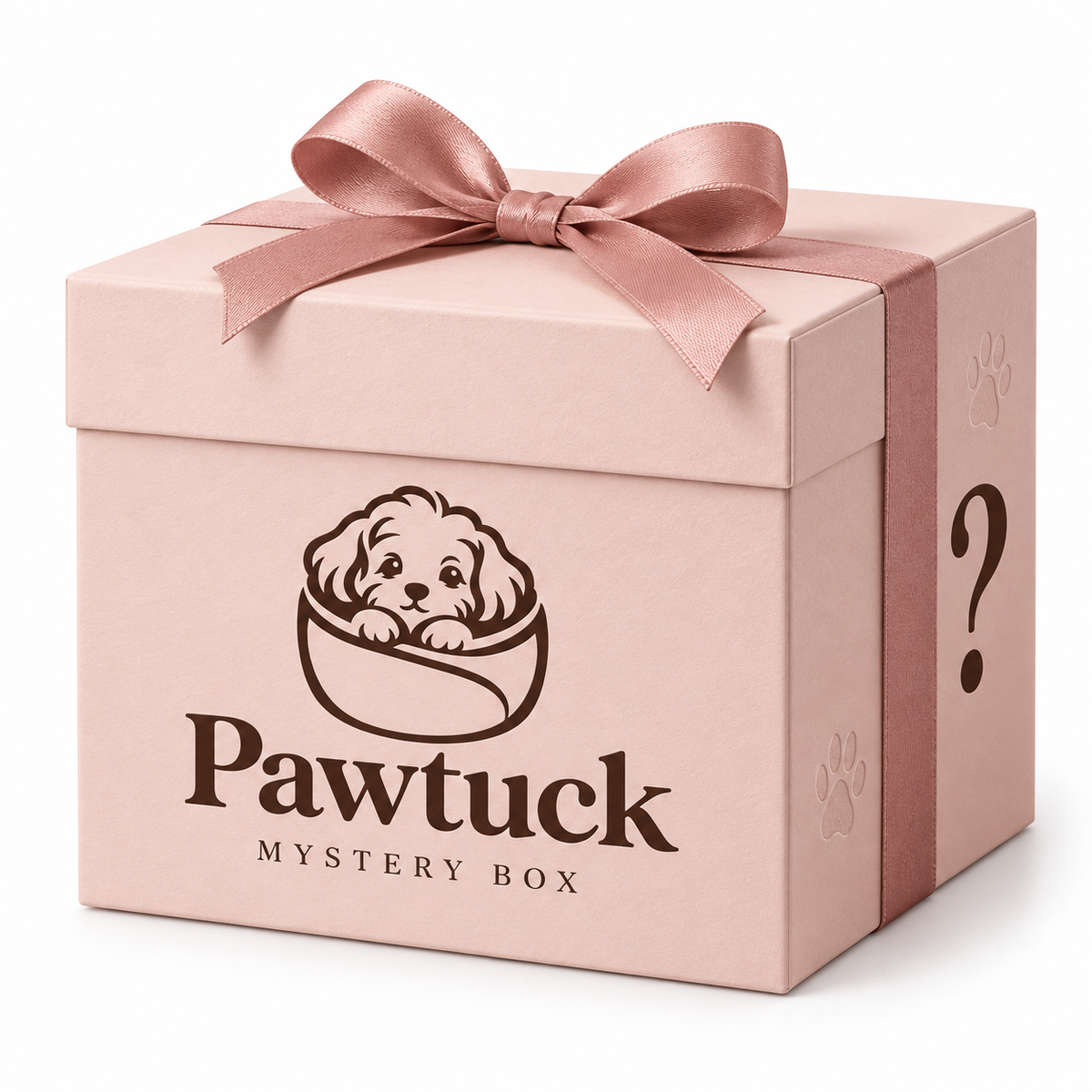 Mystery Pet Box ๐